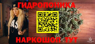 экстази Можга