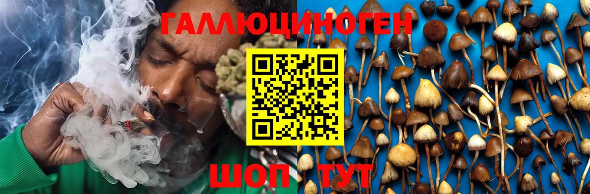 Галлюциногенные грибы GOLDEN TEACHER Сердобск